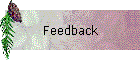 Feedback