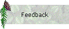 Feedback