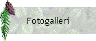 Fotogalleri