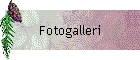 Fotogalleri